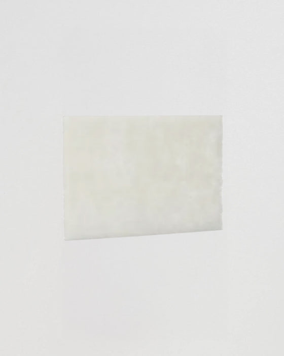 Victoria Bay Scouring Pad 6X9 IN Light Duty Fiber White 20/Case